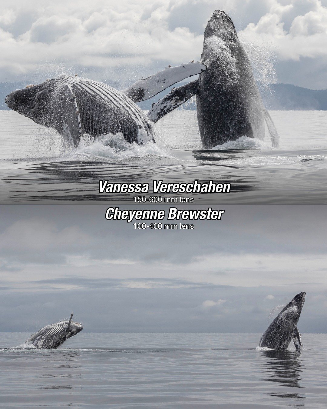 Have you ever looked at two photos from the same moment and thought, &ldquo;Wait&hellip; how can those look so different?&rdquo;

The answer might be 𝐥𝐞𝐧𝐬 𝐜𝐨𝐦𝐩𝐫𝐞𝐬𝐬𝐢𝐨𝐧! 📸

Lens compression happens when photographers use telephoto lense