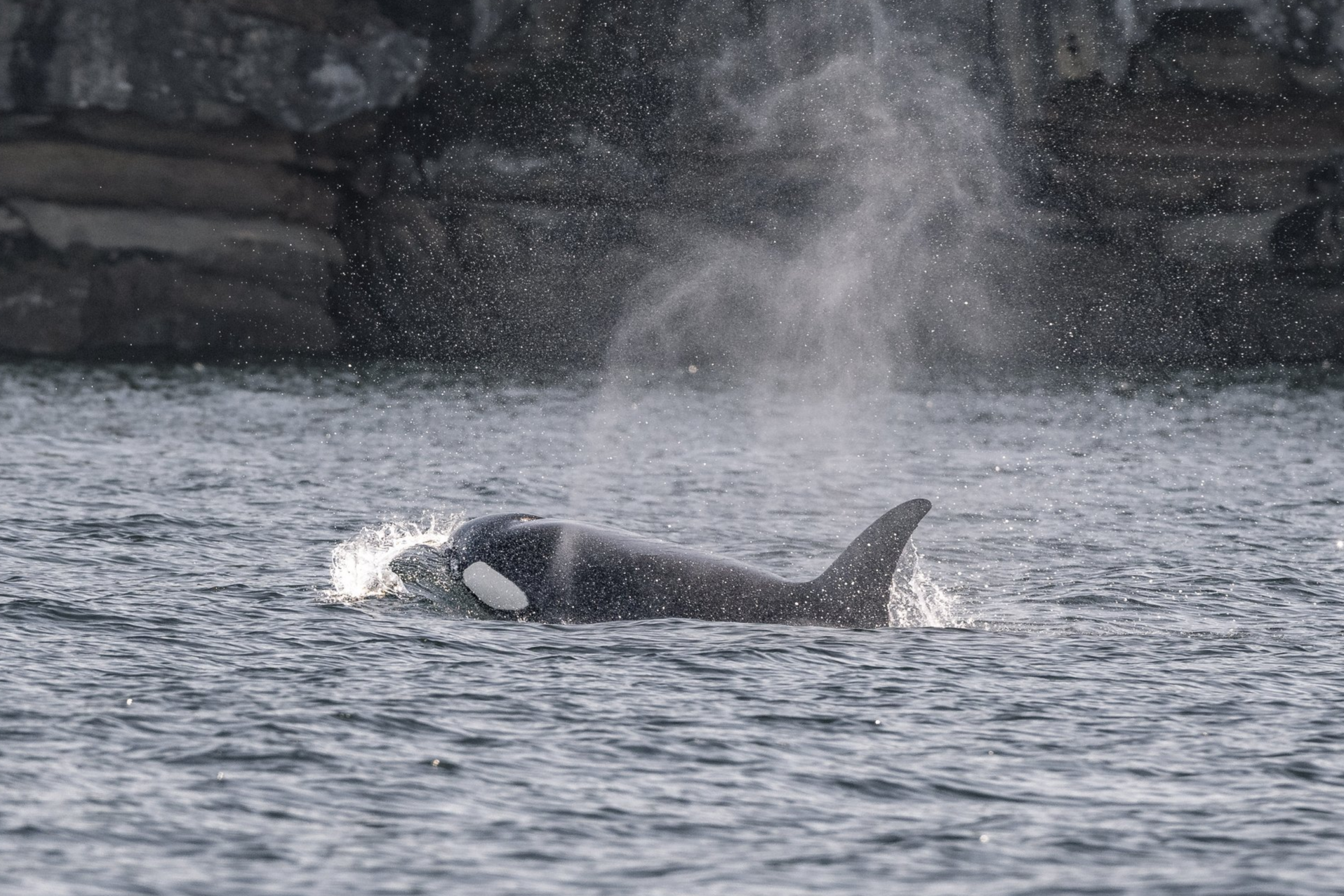 April 24 ,2026, 09:30 AM - Travelling Northumberland Channel with the T086As. 