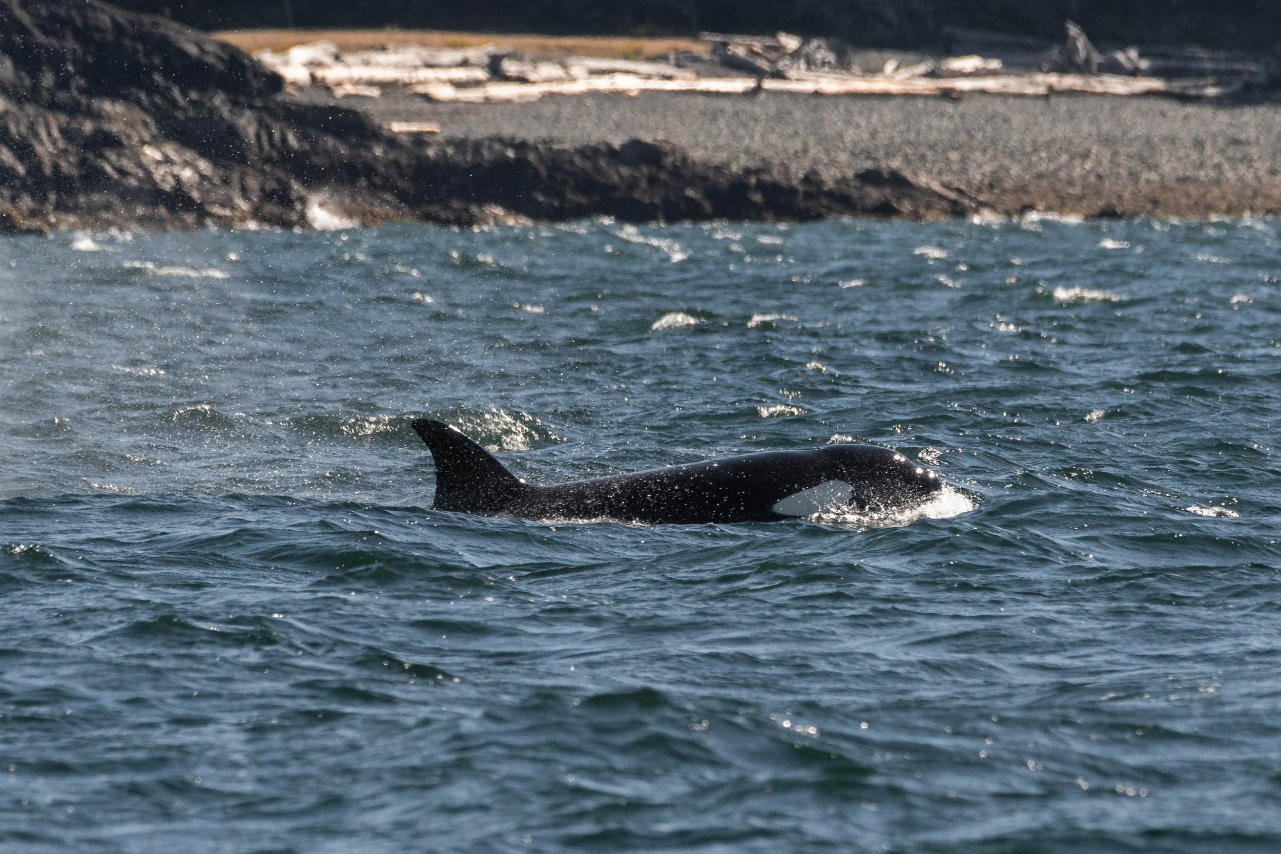 June 18, 2026, 3:30 PM - The T124A2s right outside of Nanaimo! 