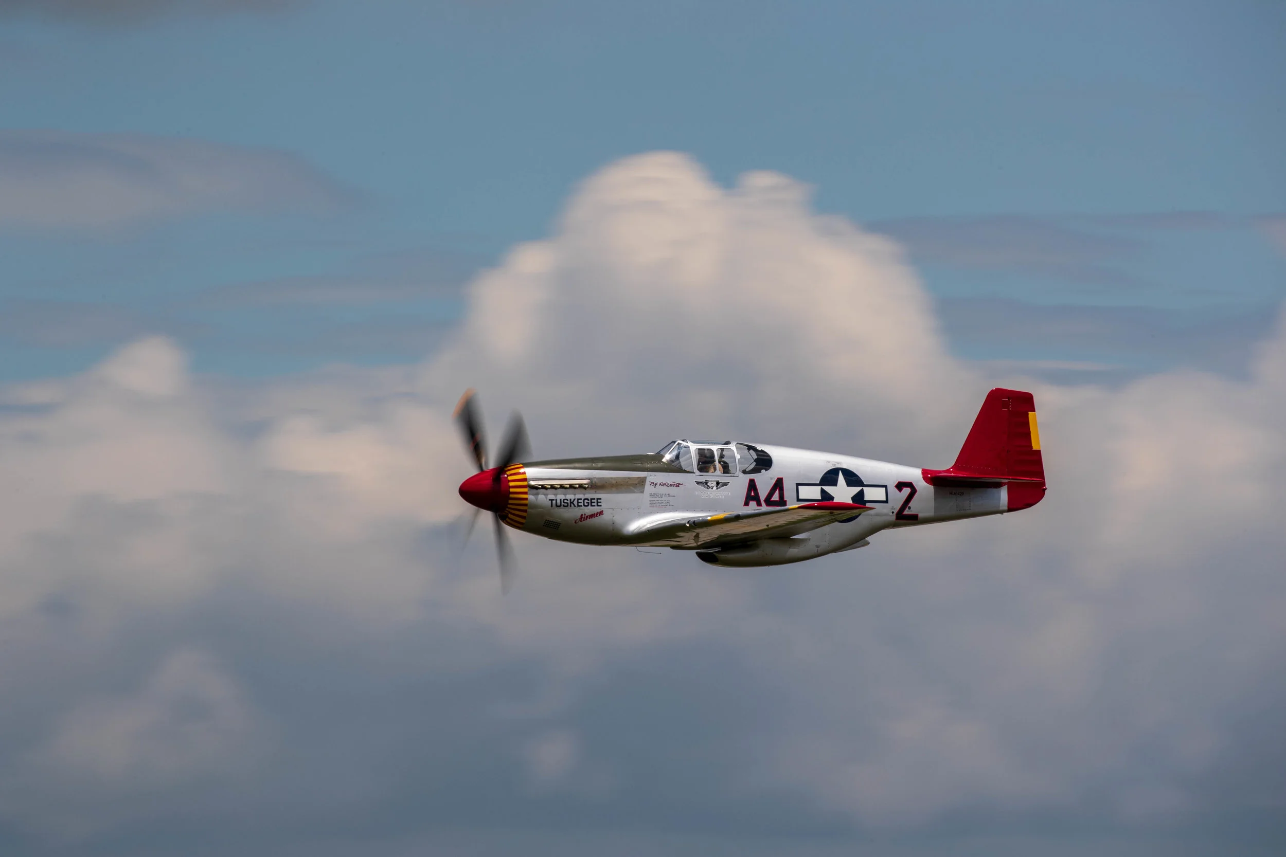 DL0I3222.jpg