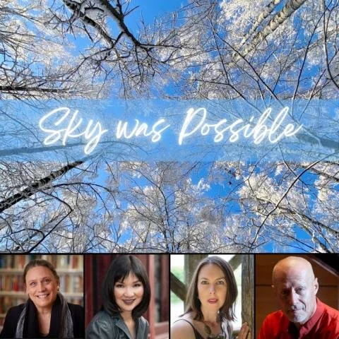 Sky Was Possible to Receive Vermont Premiere