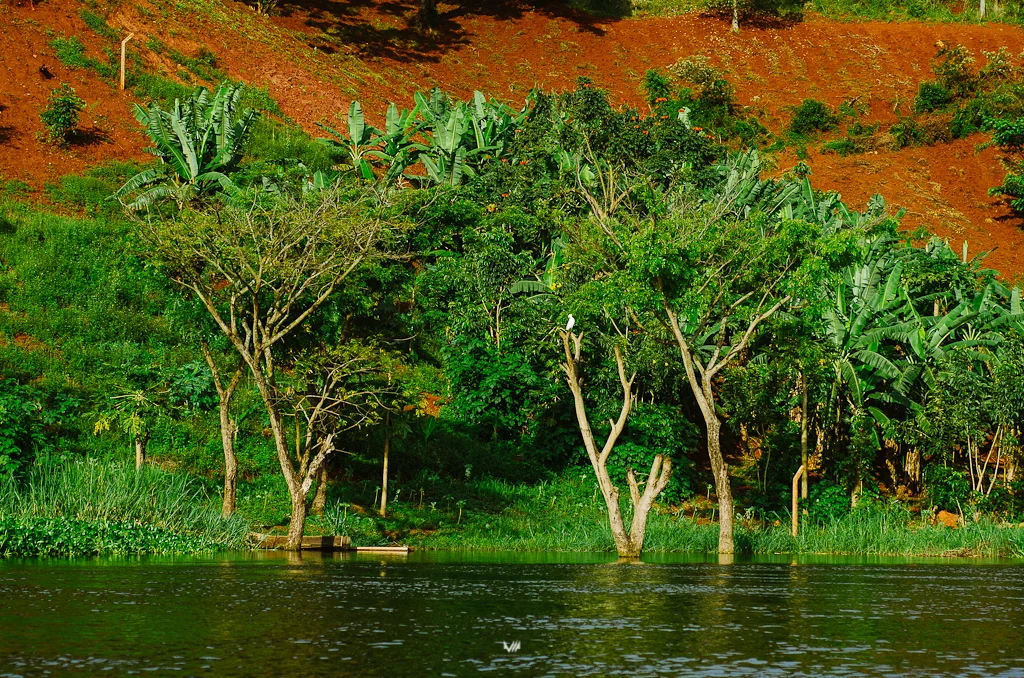 OnetouchLive_Jinja_Uganda_Mutua Matheka_Blog-8