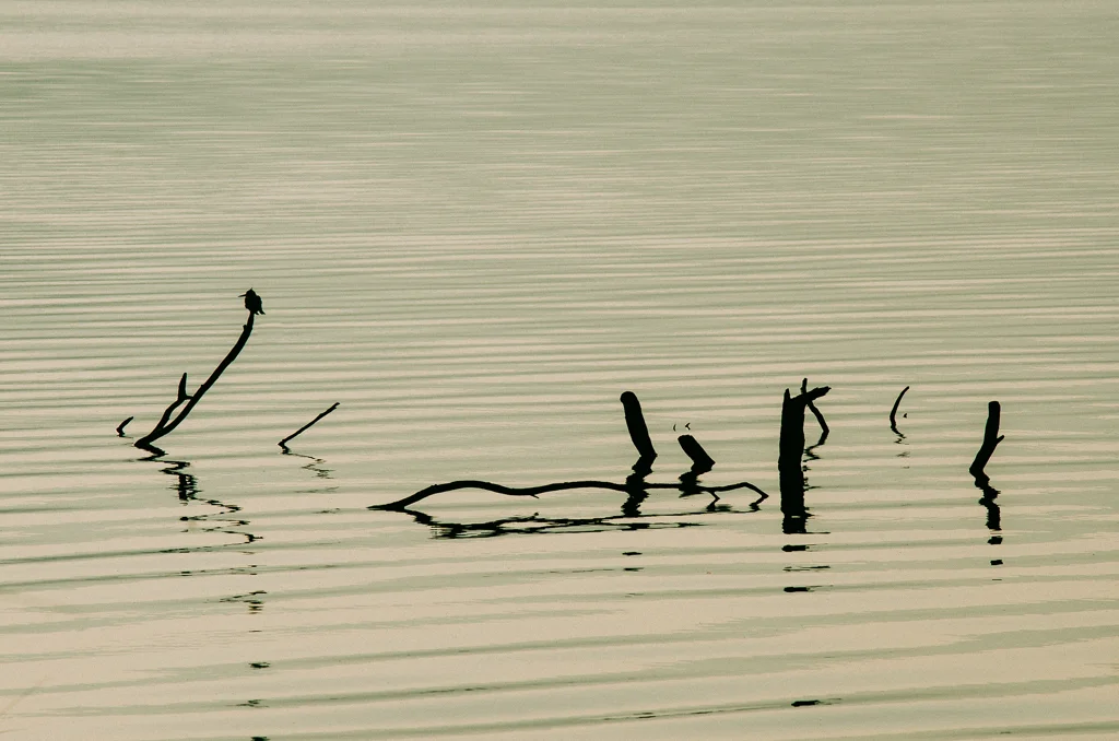 2013.09.08_OnetouchLive_Lake Bunyonyi_Uganda-180