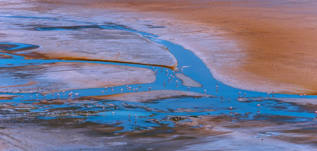 2015.06.10-11_Lake Natron-347