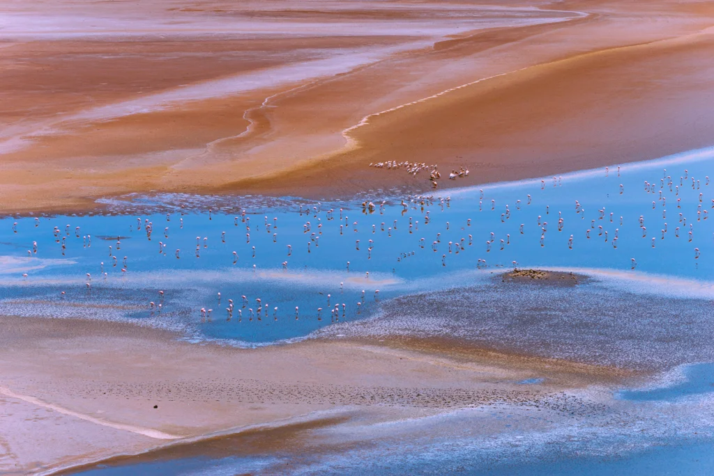2015.06.10-11_Lake Natron-348-2