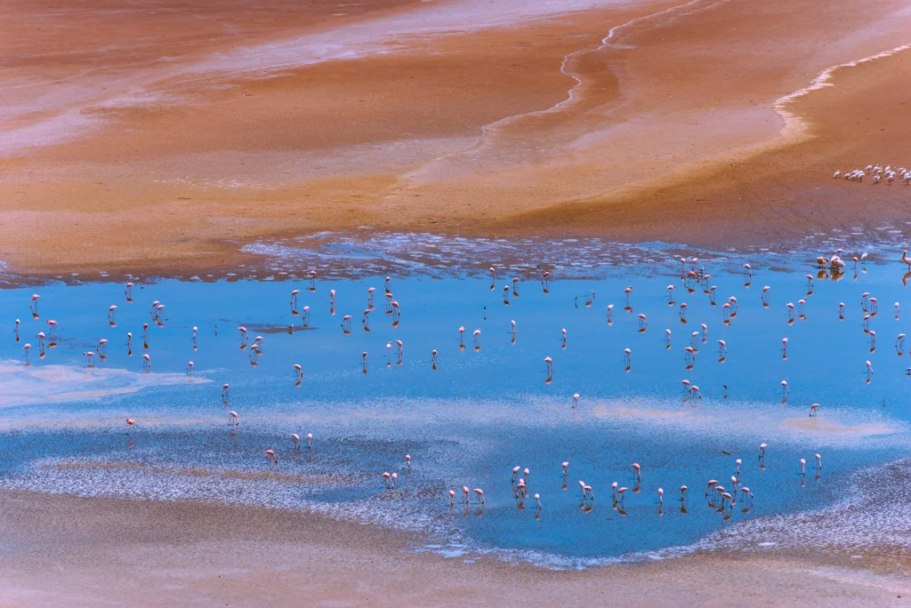 2015.06.10-11_Lake Natron-350