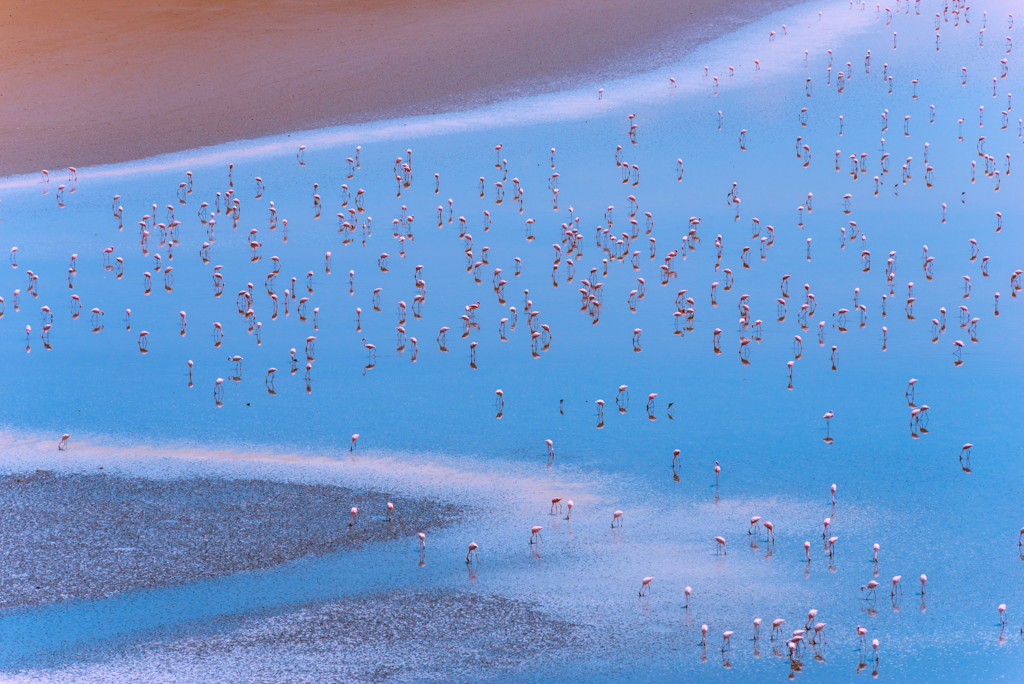 2015.06.10-11_Lake Natron-351