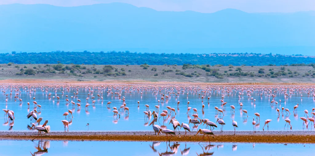 2015.06.10-11_Lake Natron-364