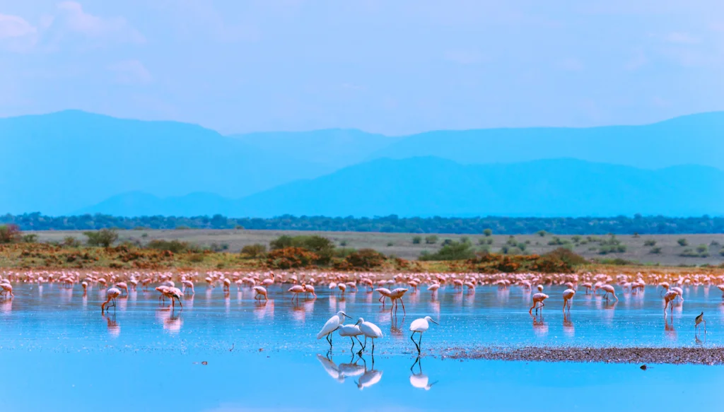 2015.06.10-11_Lake Natron-375