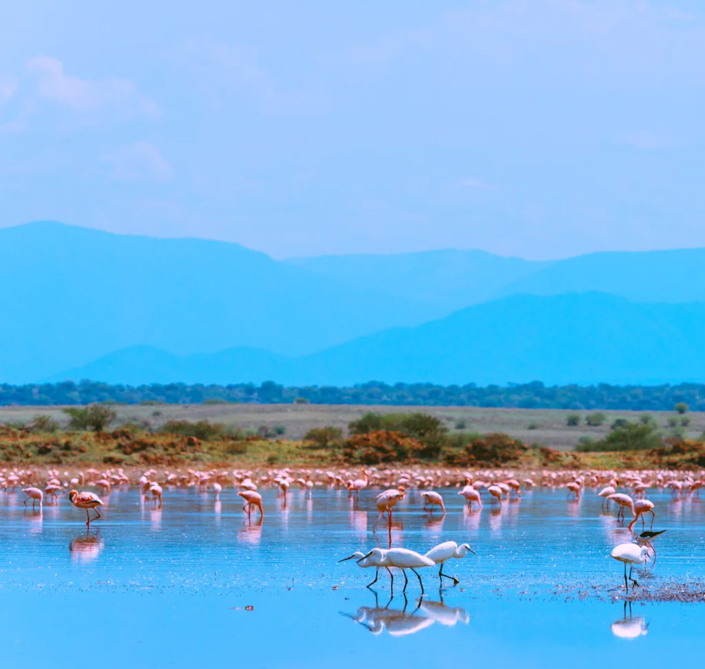 2015.06.10-11_Lake Natron-378