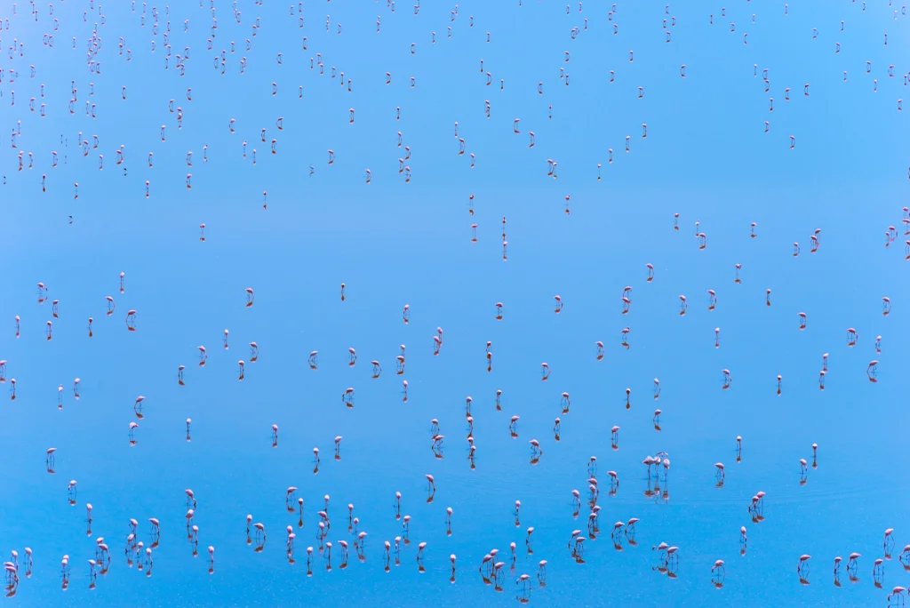 2015.06.10-11_Lake Natron-352