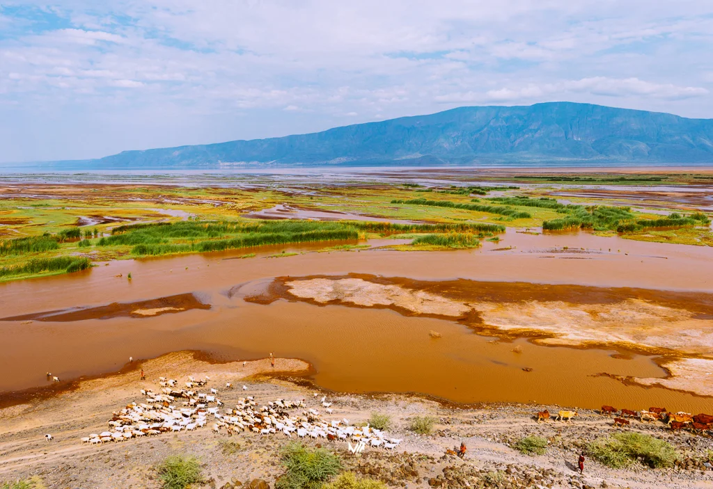 2015.06.10-11_Lake Natron_Blog-20