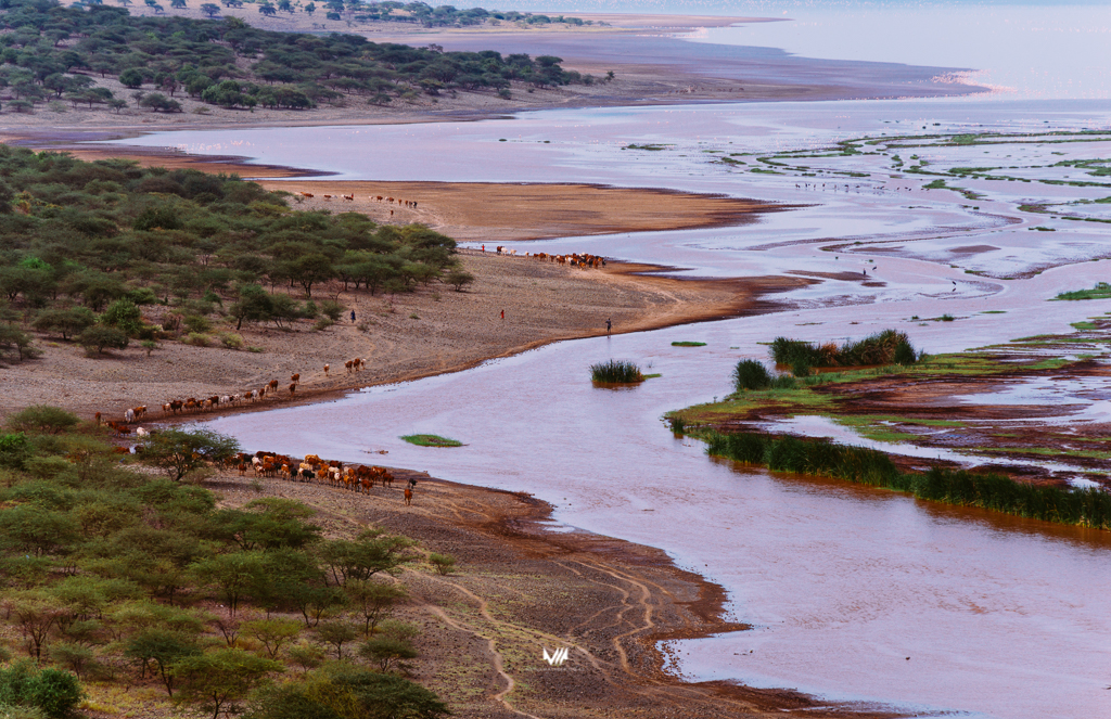 2015.06.10-11_Lake Natron_Blog-28