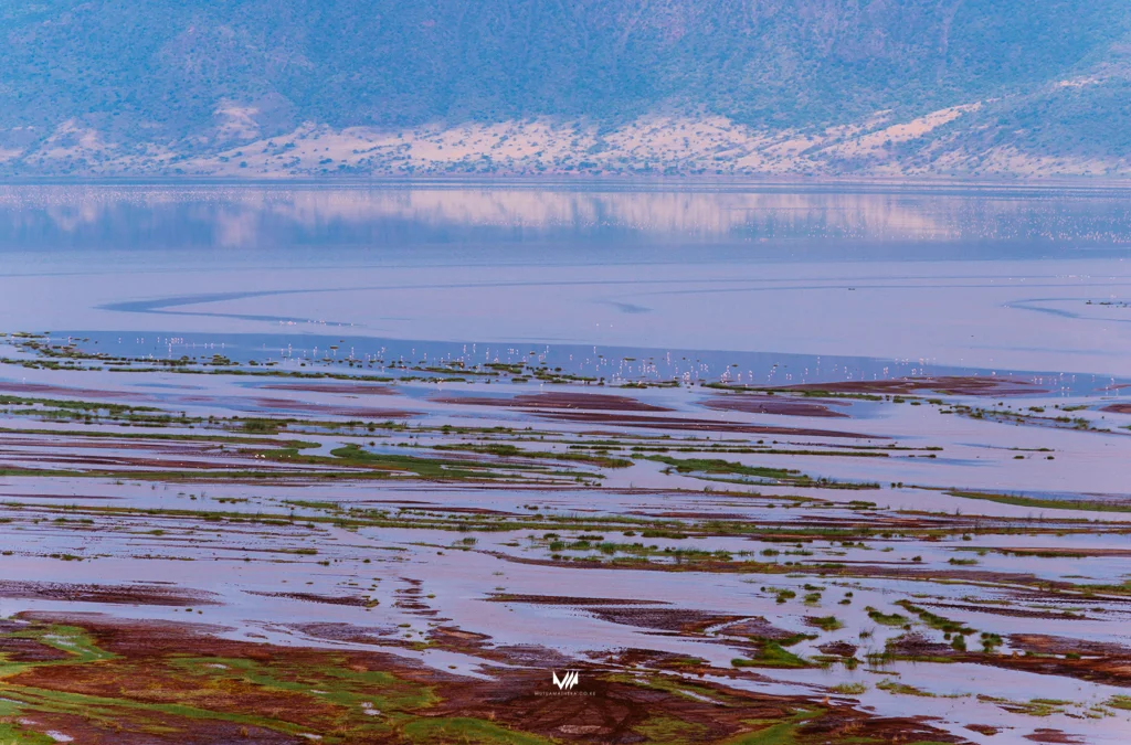 2015.06.10-11_Lake Natron_Blog-27