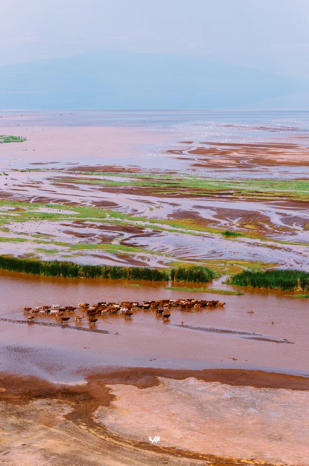 2015.06.10-11_Lake Natron_Blog-32