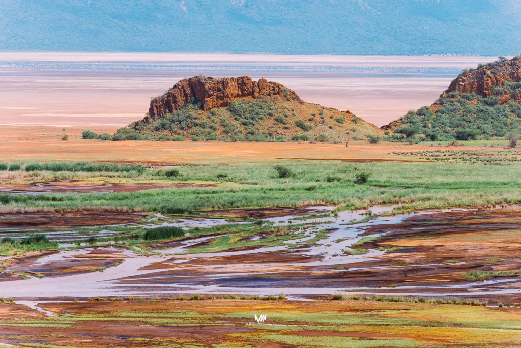 2015.06.10-11_Lake Natron_Blog-35