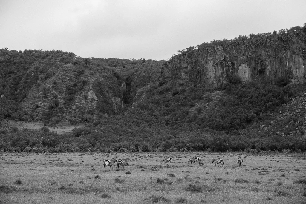 2015.07.20-21_Hells Gate-318
