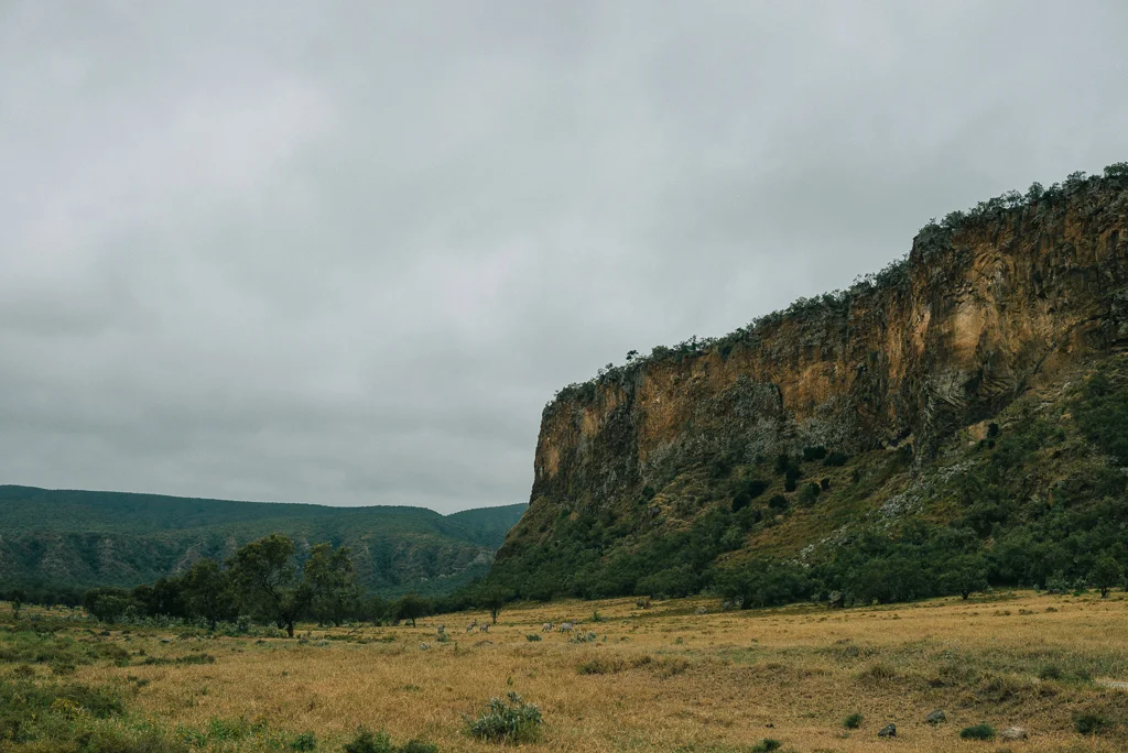 2015.07.20-21_Hells Gate-332