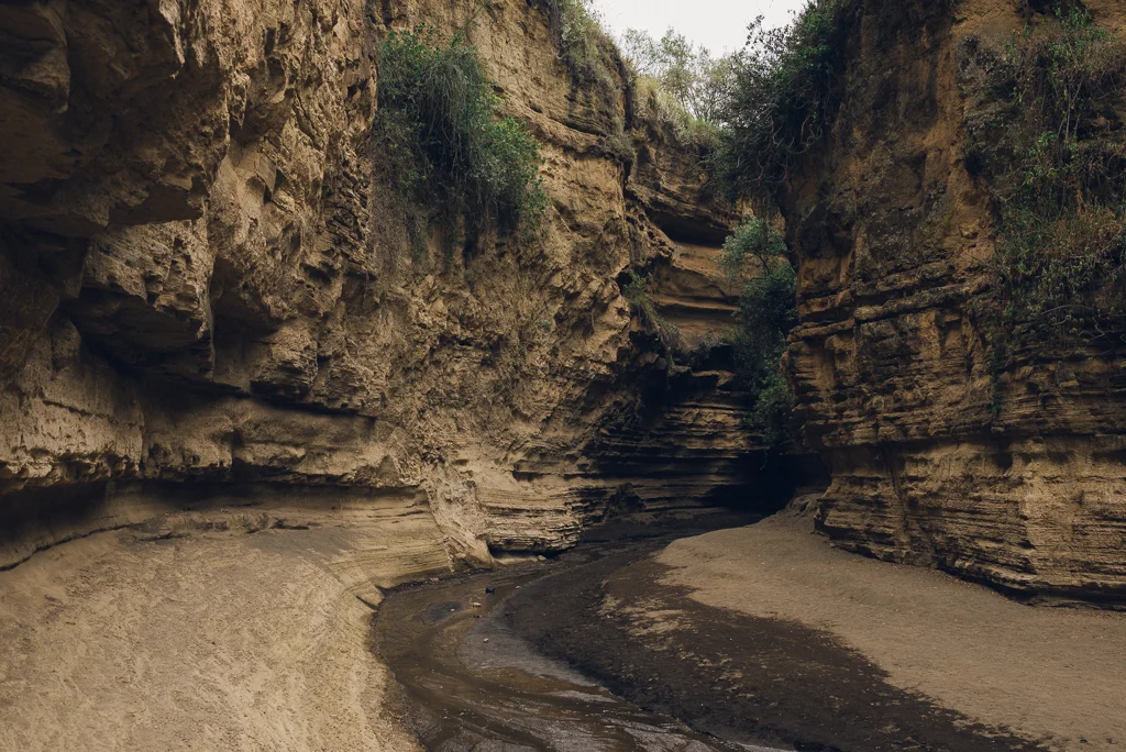 2015.07.20-21_Hells Gate-396