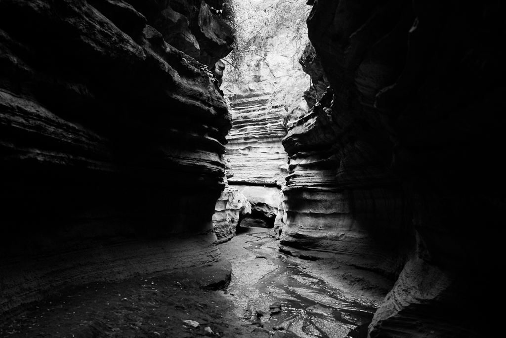 2015.07.20-21_Hells Gate-416