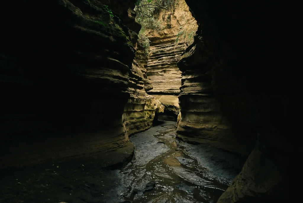 2015.07.20-21_Hells Gate-420