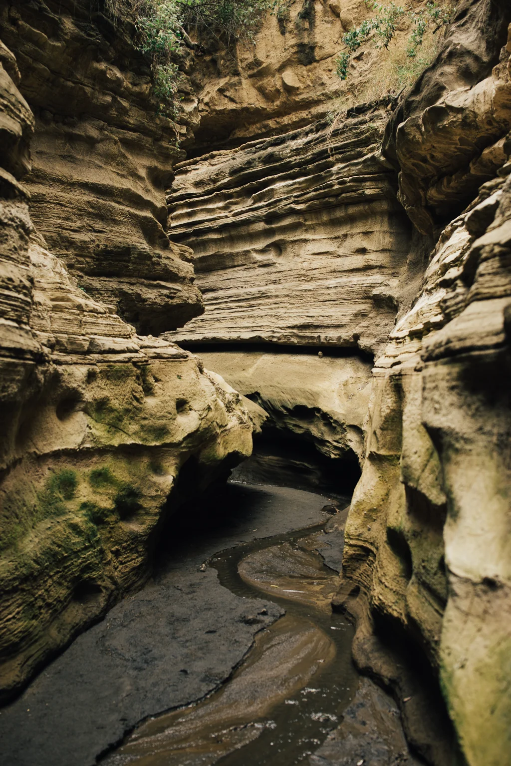 2015.07.20-21_Hells Gate-425