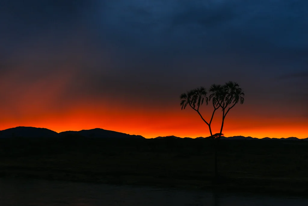 2015.11.09-11_OnetouchLive_Samburu-1015