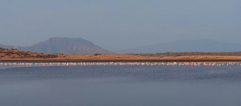 2016.09.24-25_Magadi-1041-1024x452.jpg
