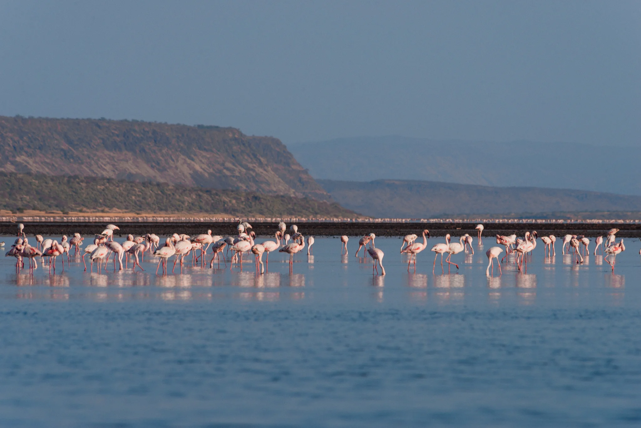 2016.09.24-25_Magadi-1053.jpg