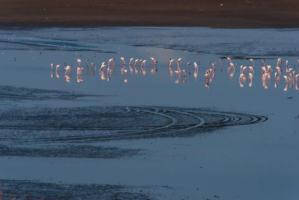 2016.09.24-25_Magadi-1077-959x640.jpg