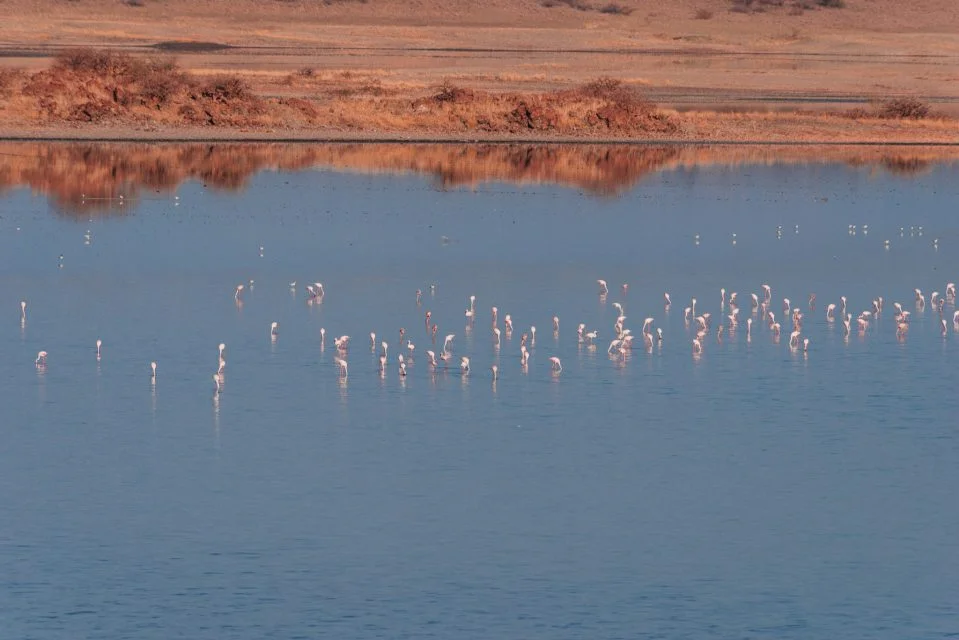 2016.09.24-25_Magadi-1081-959x640.jpg