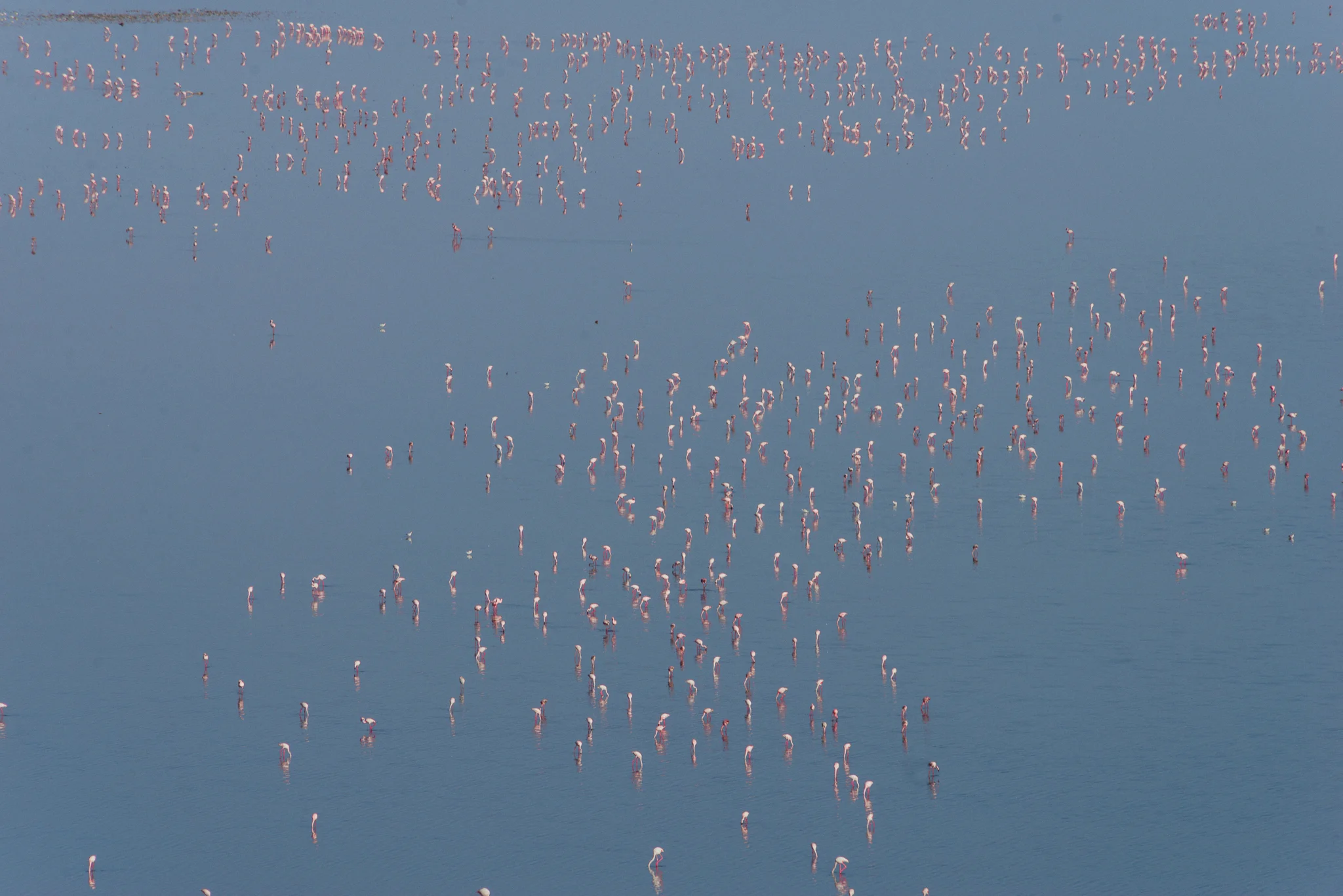 2016.09.24-25_Magadi-1097.jpg