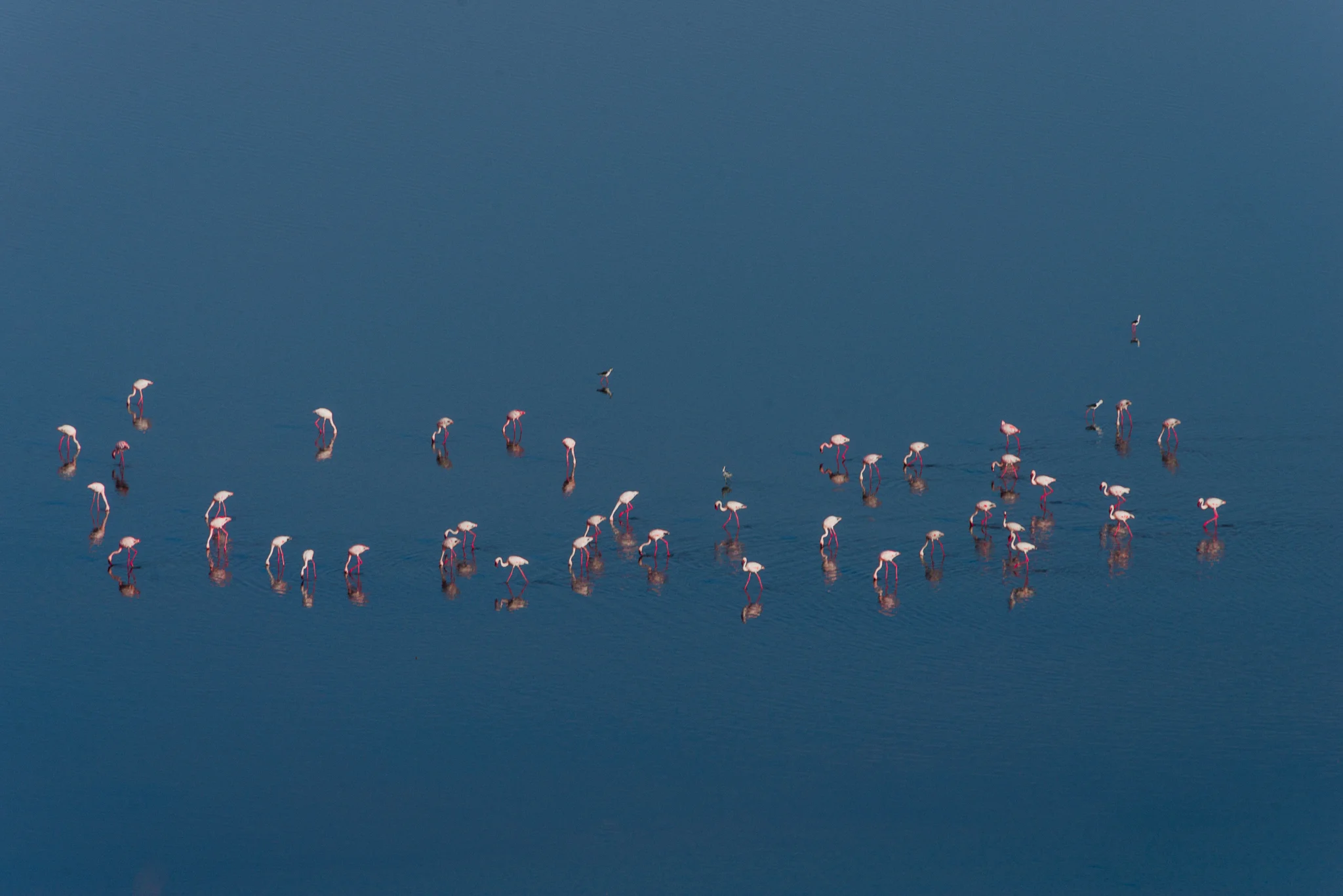 2016.09.24-25_Magadi-1098.jpg