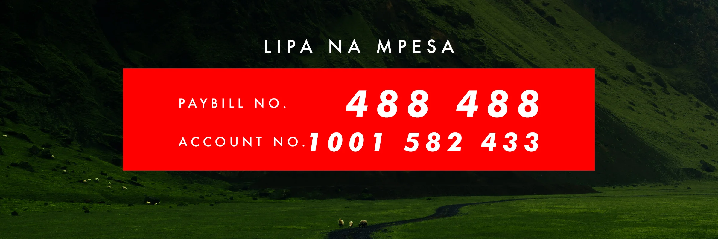 LIPA NA MPESA.jpg