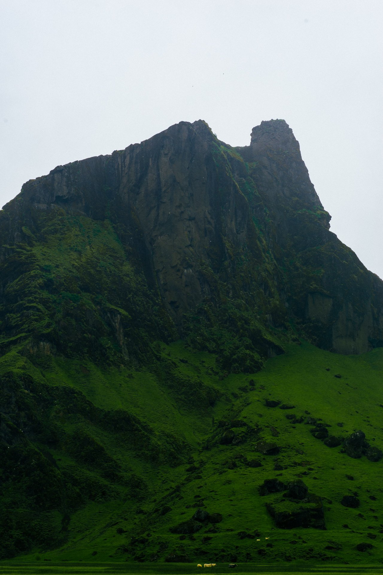 2016.20-25_ICELAND_D610-1704.jpg