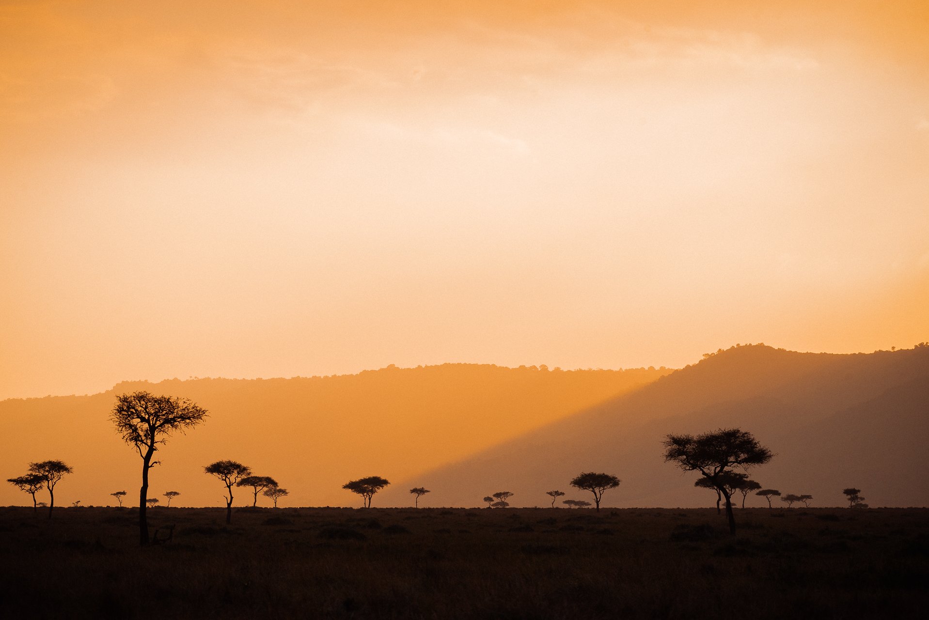 Maasai Mara, Kenya