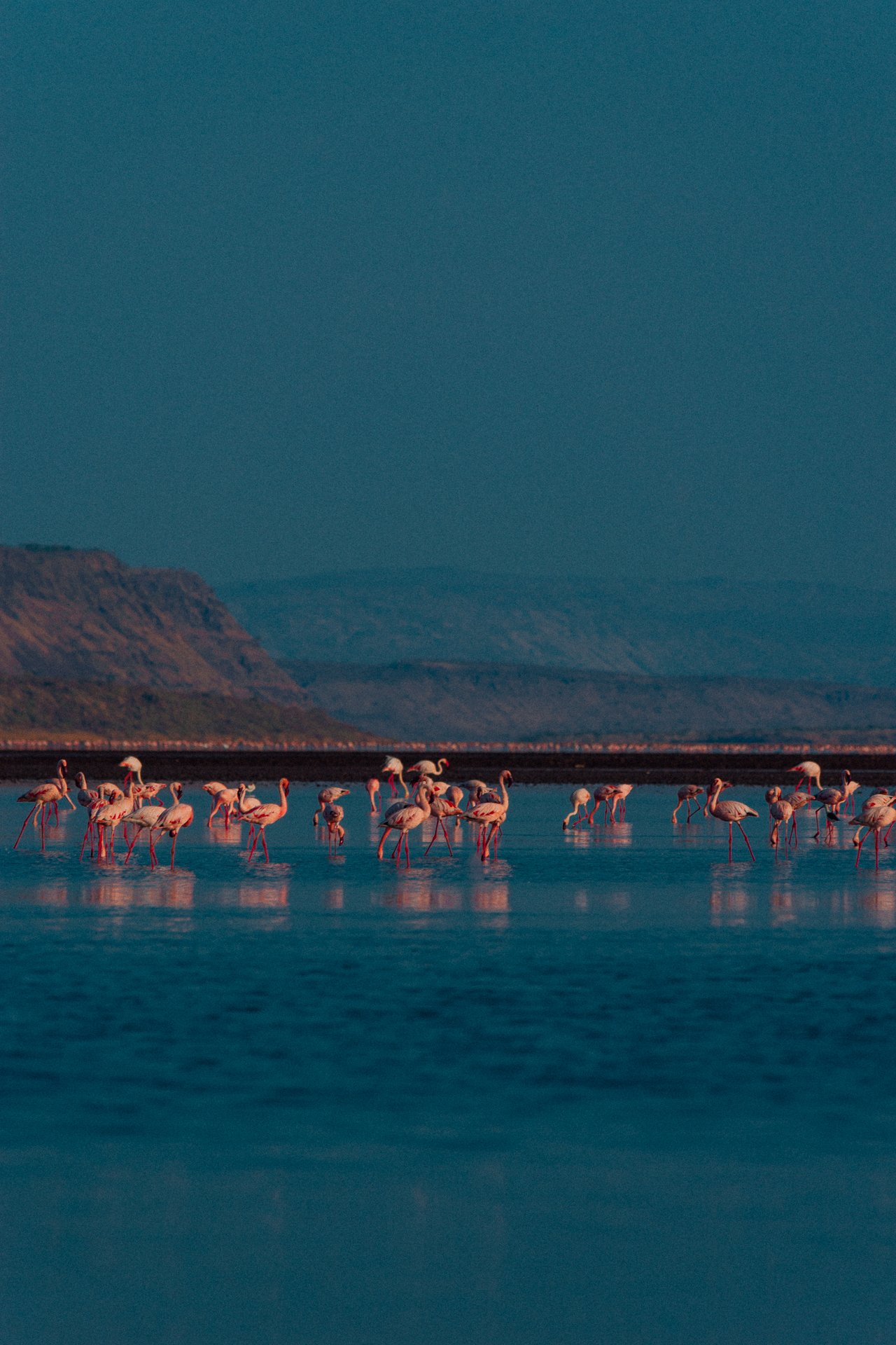 Lake Magadi