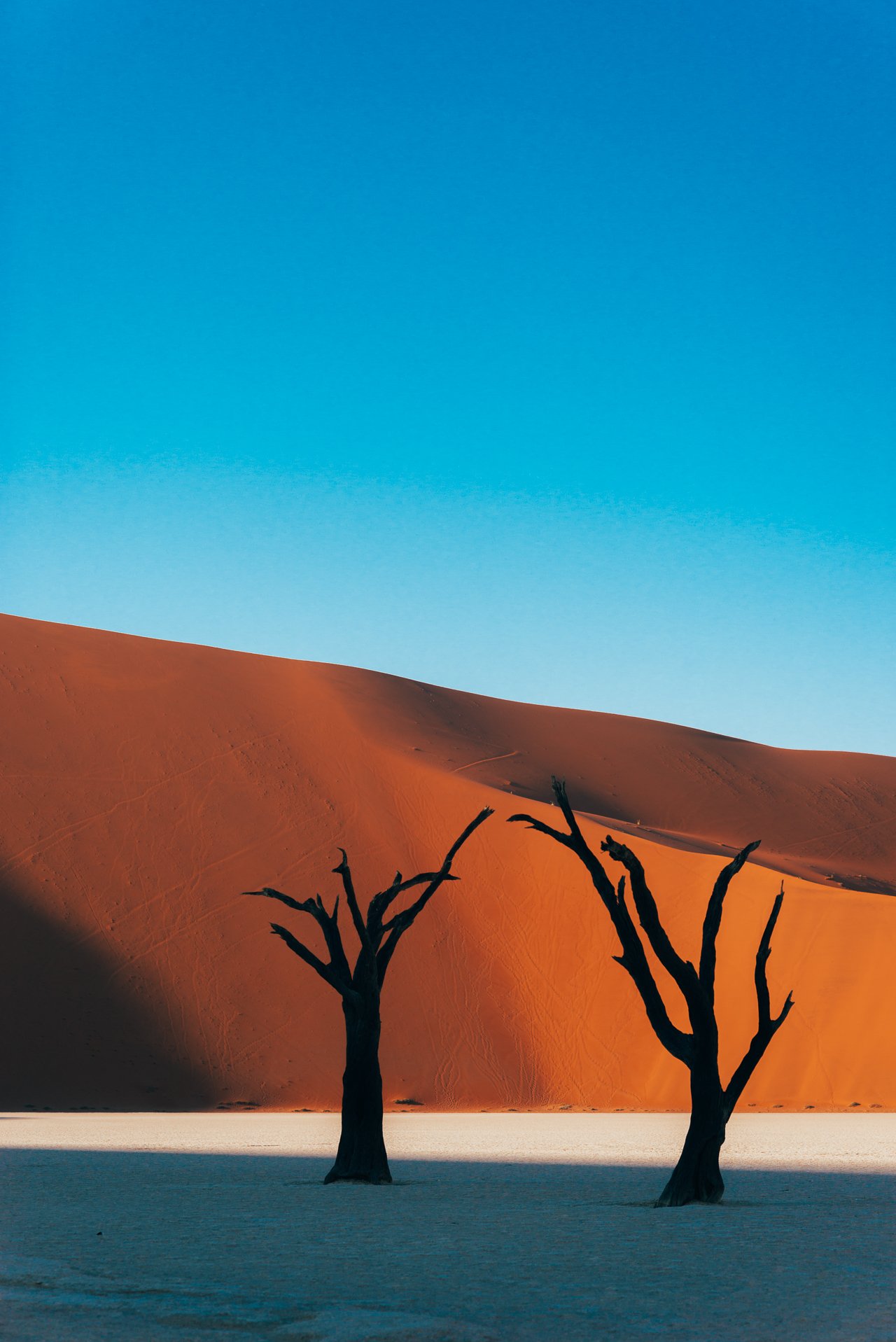 Dedvlei, Namibia