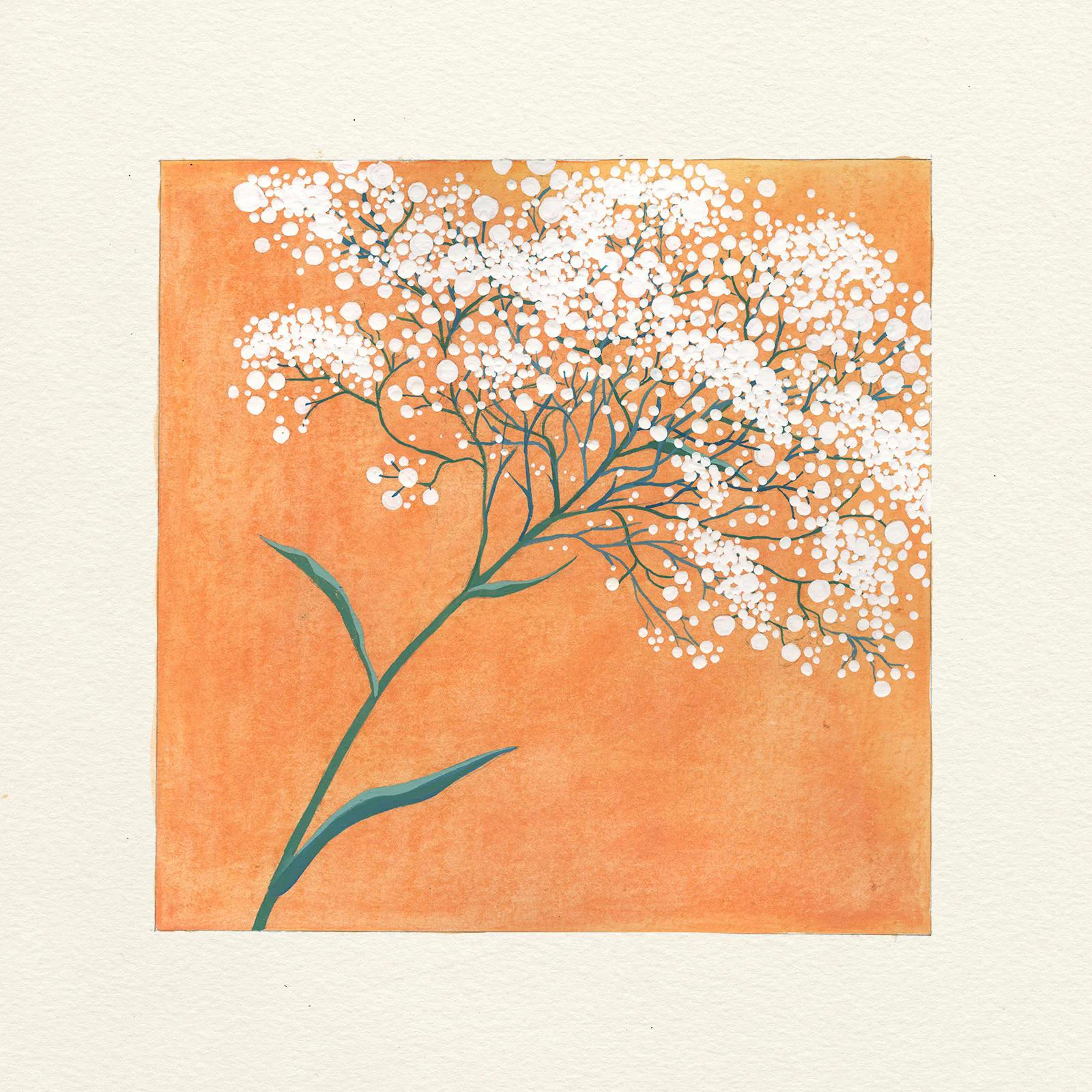 WhatsApp Image 2018-10-20 at 19.41.23.jpeg