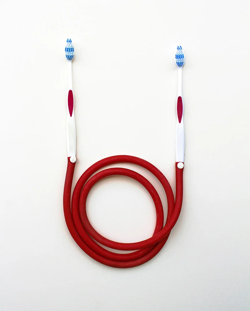 Toothbrush (from the series “Objects of Interdependence”) 20” x 16” archival inkjet print 2012