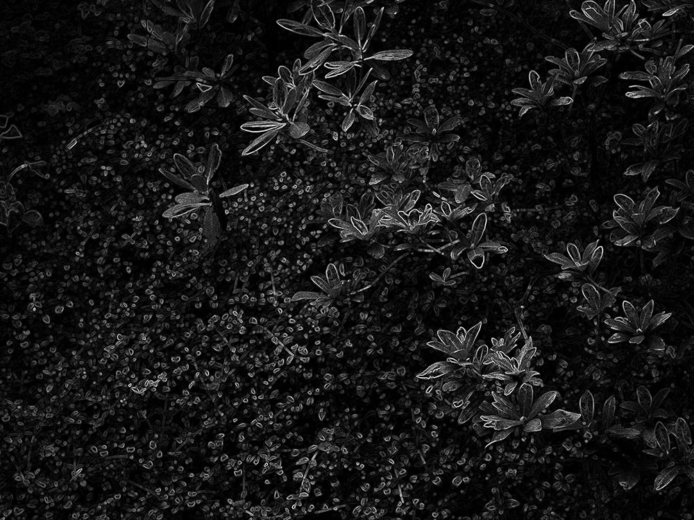 Untitled (from the series “Through the Swift, Black Night”) 30” x 40” archival inkjet print 2018