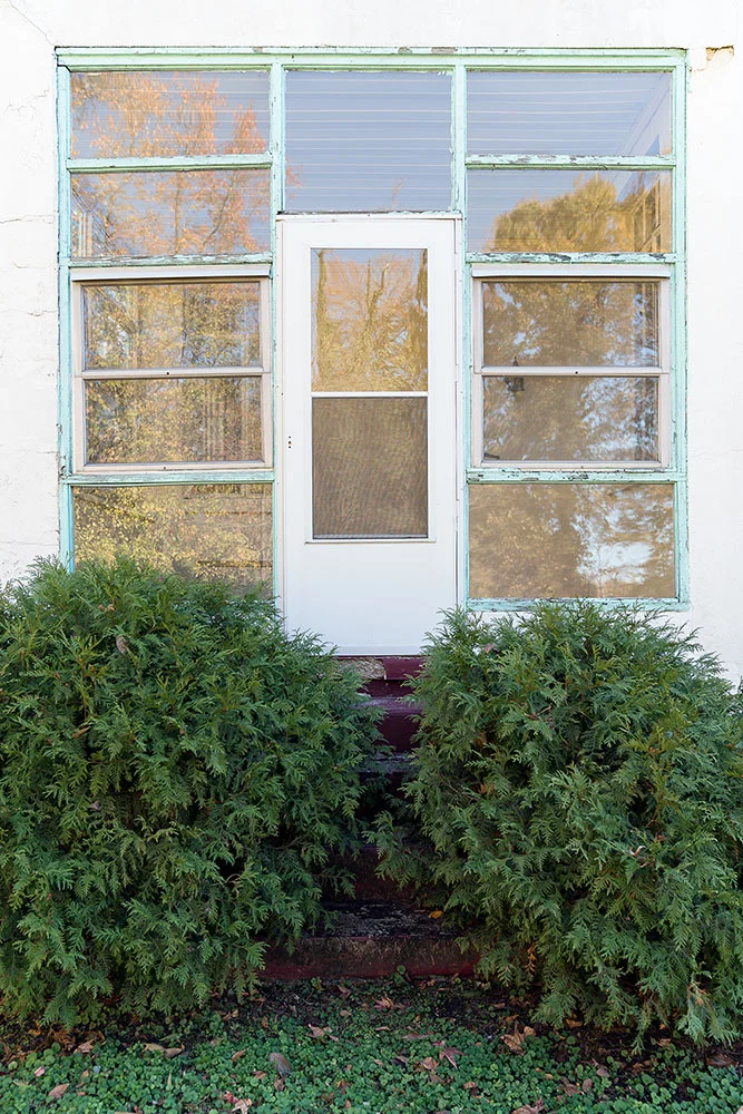 Overgrowth (from the series “Azurest”) 36” x 24” archival inkjet print 2018