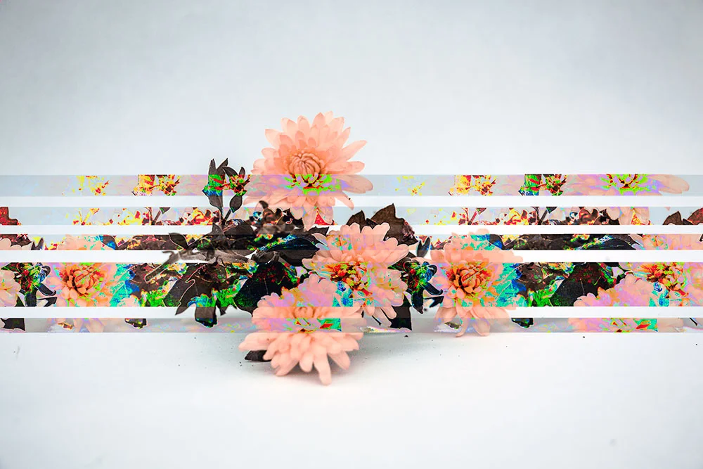 Celeste Finelli Assignment: Kitsch, Glitch, & Digital Debris Art 3564 Topics in Photography: Machine Vision Virginia Tech Fall 2017