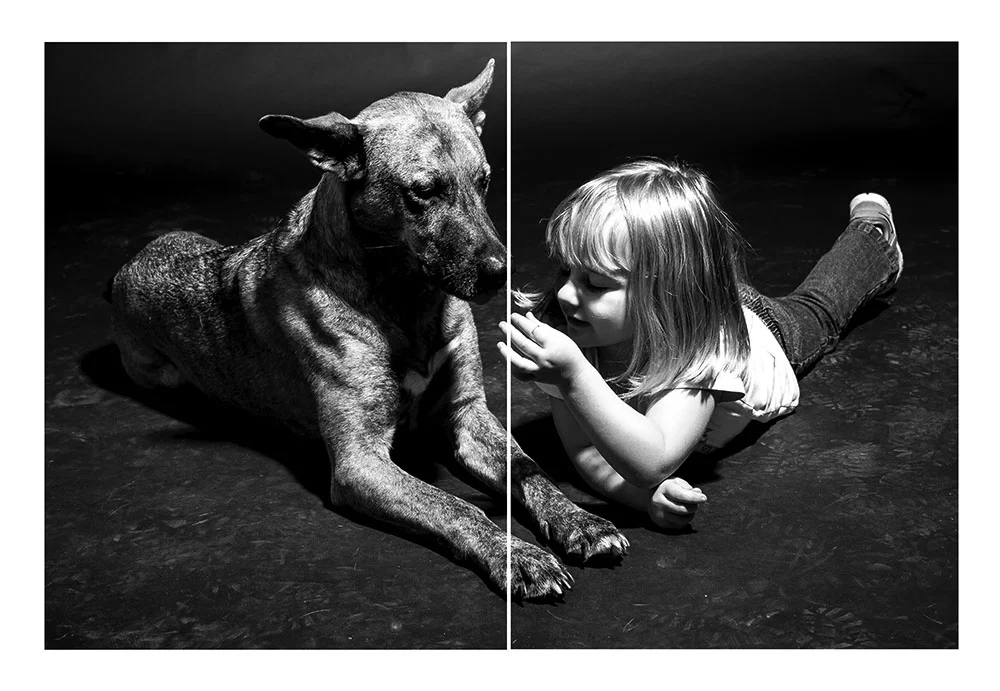 Amanda Koval Assignment: Final Series (“One To Be Feared”) Art 281 Introduction to Photography (digital) University of Wisconsin – Eau Claire Fall 2015