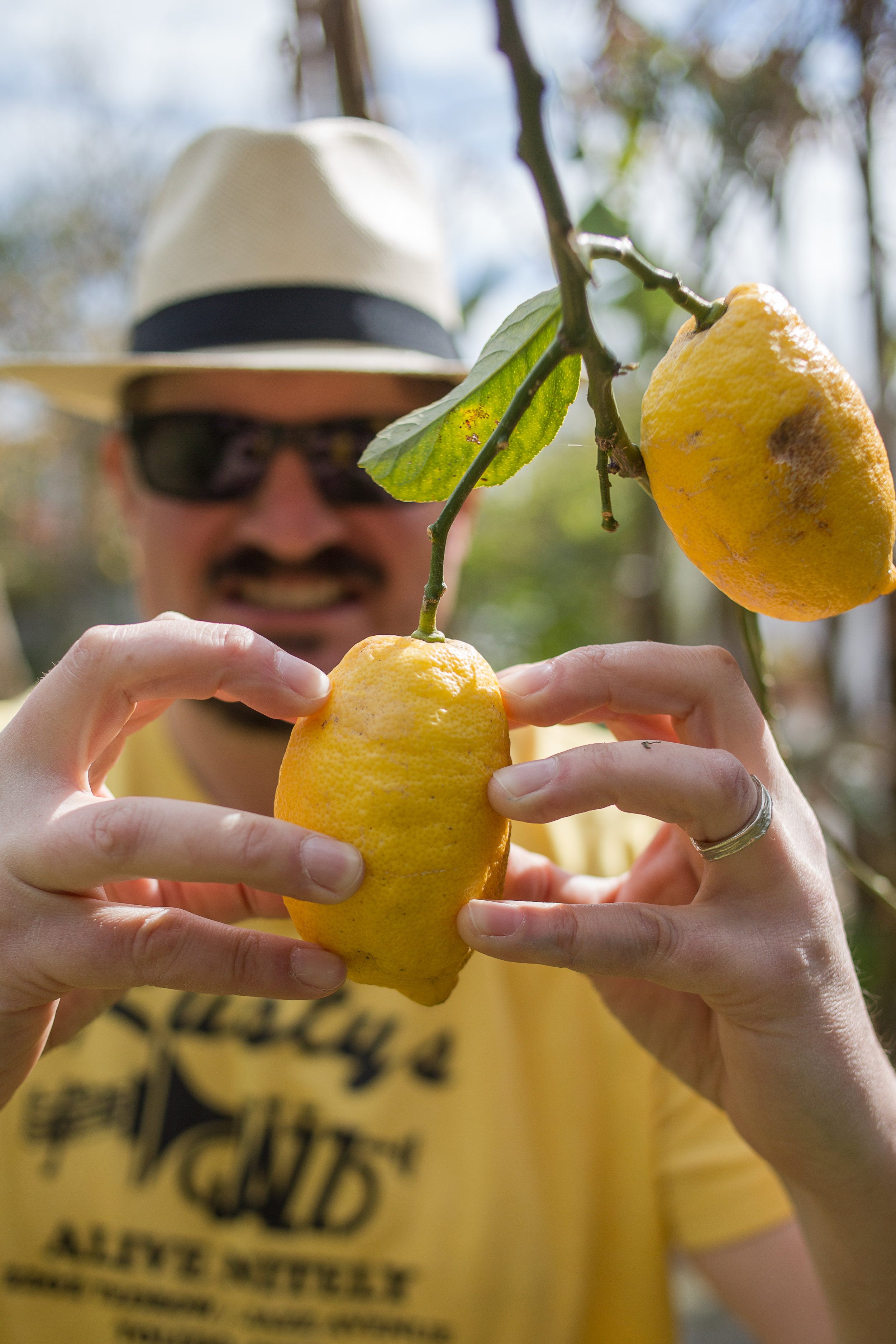 Jason Italy Window-Lemon Grove Print-3.jpg