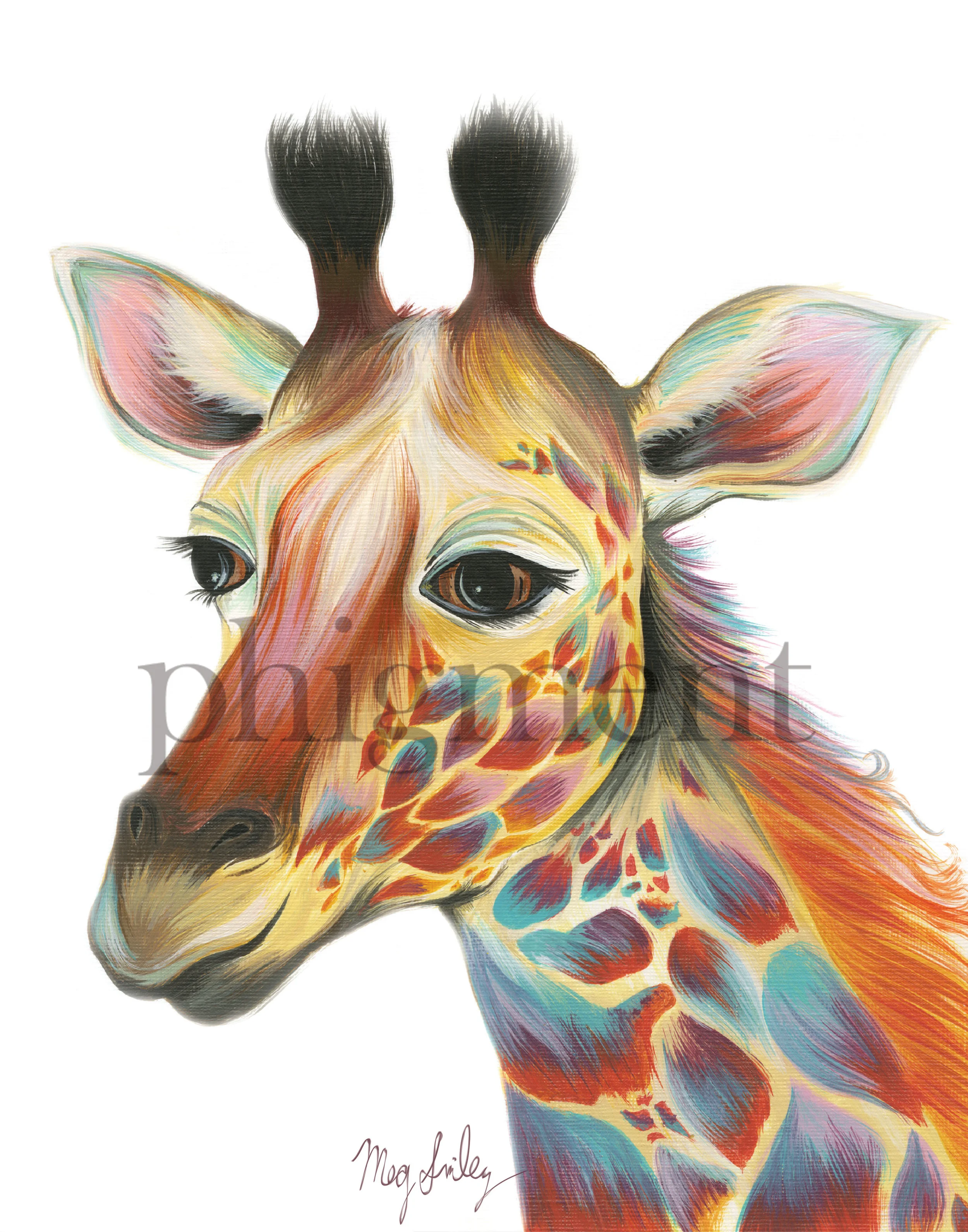 Giraffe-11x14.jpg