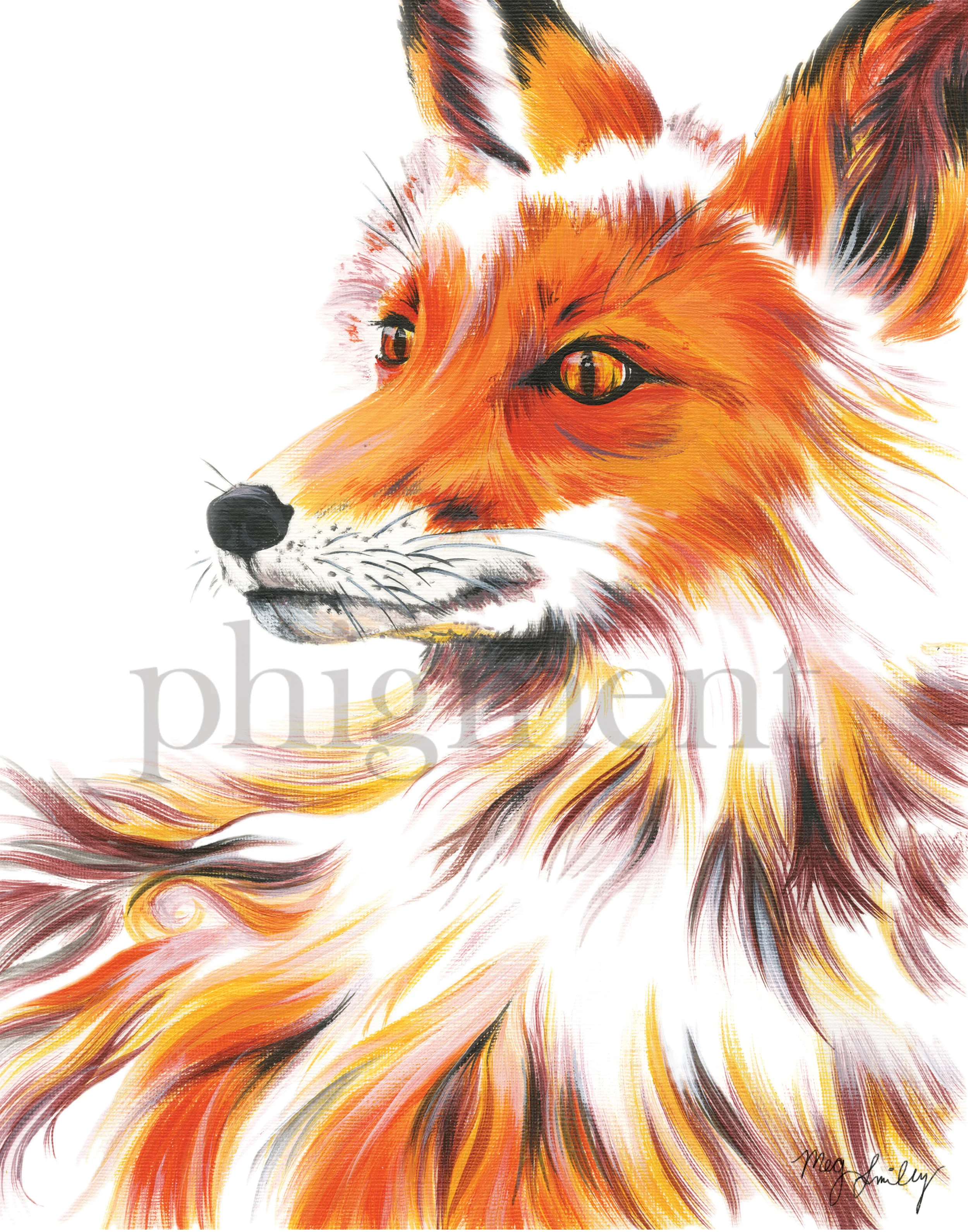 fox--11x14.jpg