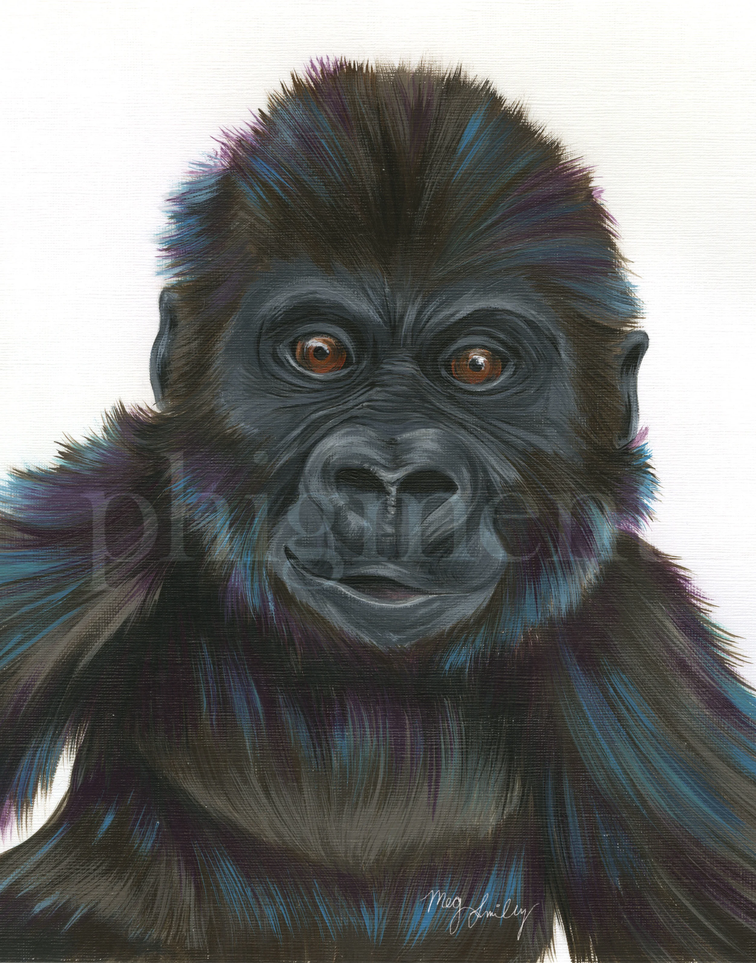 Gorilla-11x14.jpg