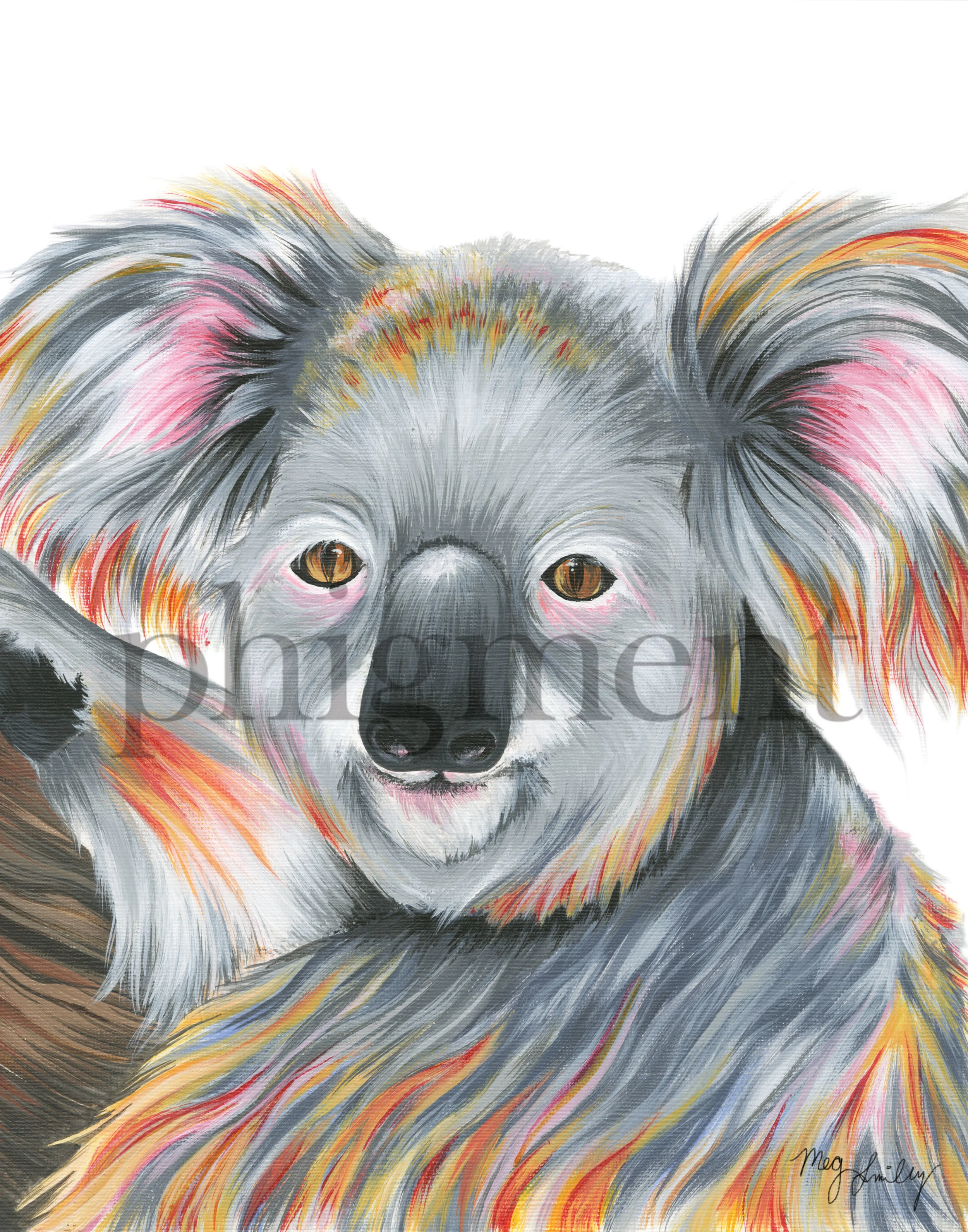 koala-11x14.jpg