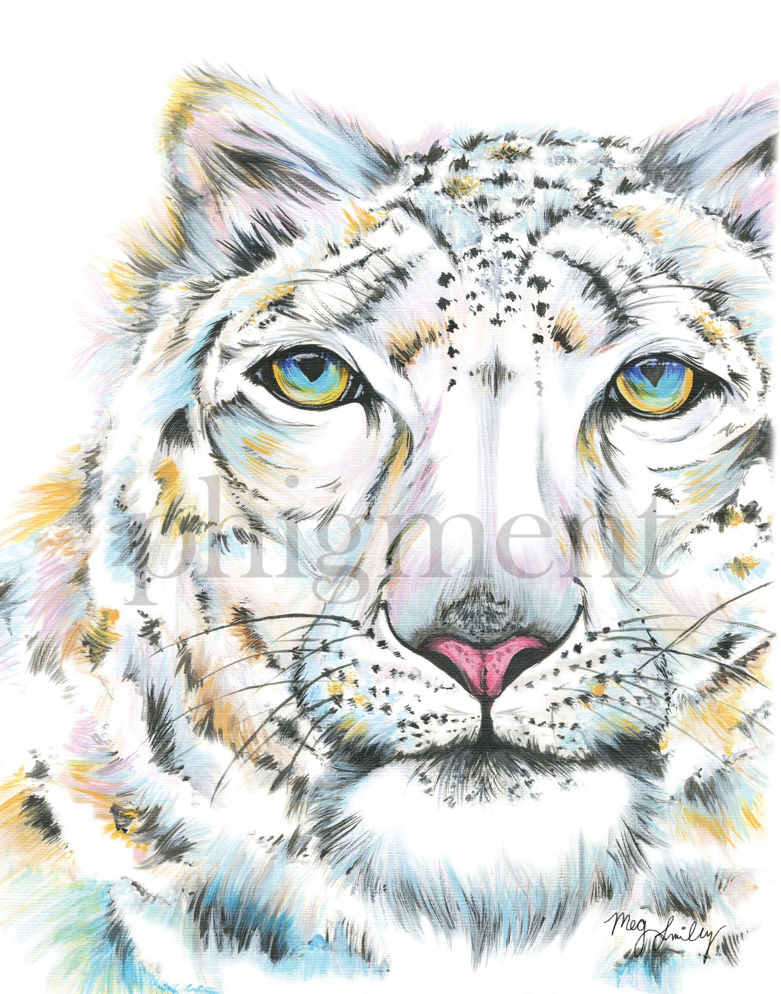 Snow-Leopard-11x14.jpg